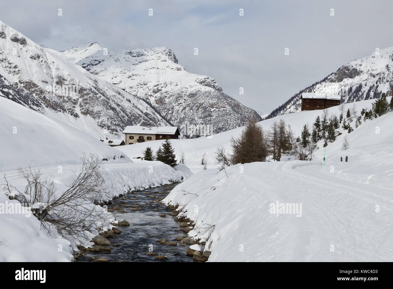 Langlaufen in Livigno, Italien Stockfoto
