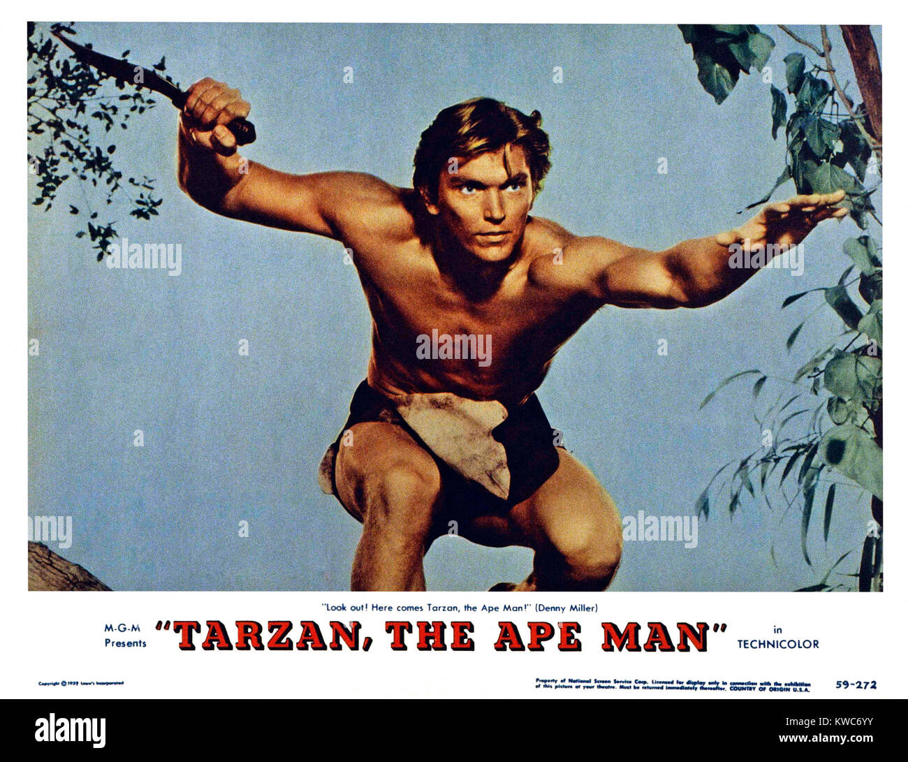 TARZAN, DER AFFE MENSCH, Denny Miller, 1959 Stockfoto