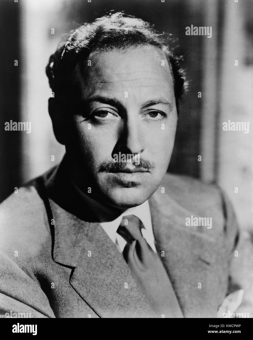 Tennessee Williams, Dramatiker des amerikanischen Klassiker des 20. Jahrhunderts im Jahr 1952. Zu seinen Werken zählen: The Glass Menagerie; A Streetcar Named Desire; Katze auf dem heißen Blechdach; Orpheus Descending; Süßer Vogel Jugend; Die Rose Tätowierung; Orpheus Descending; Die Nacht des Leguans; Sommer und Rauch. -(BSLOC 2015 1 31) Stockfoto