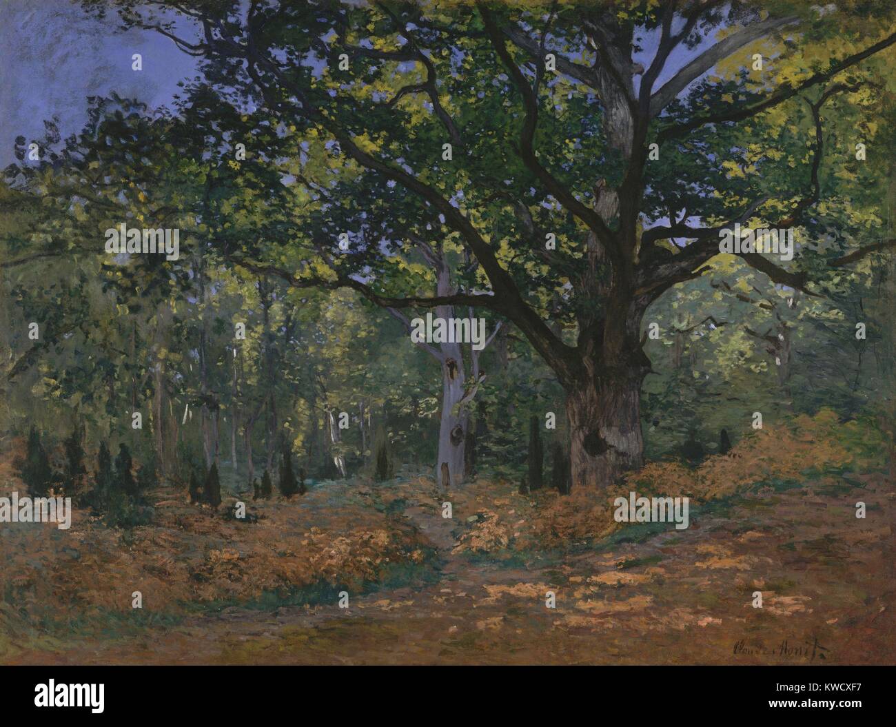 Die bodmer Eiche, Fontainebleau, von Claude Monet, 1865, französischer Impressionisten Öl Malerei. Bodmer Eiche wurde nach dem Schweizer Maler Karl Bodmer, die dieser Baum gemalt 15 Jahre zuvor (BSLOC 2017 3 16 genannt) Stockfoto
