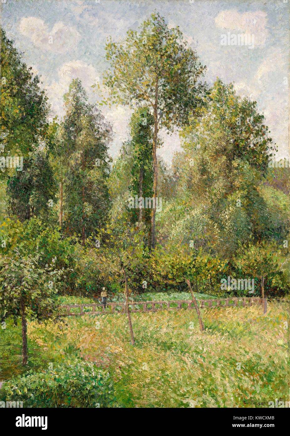 Pappeln, Eragny, von Camille Pissarro, 1895, französischer impressionistischer Malerei, Öl auf Leinwand. In den späten 1890er Jahren, Pissarro zog sich aus neoimpressionism und zu einer naturalistischen Stil zurück (BSLOC 2017 3 61) Stockfoto