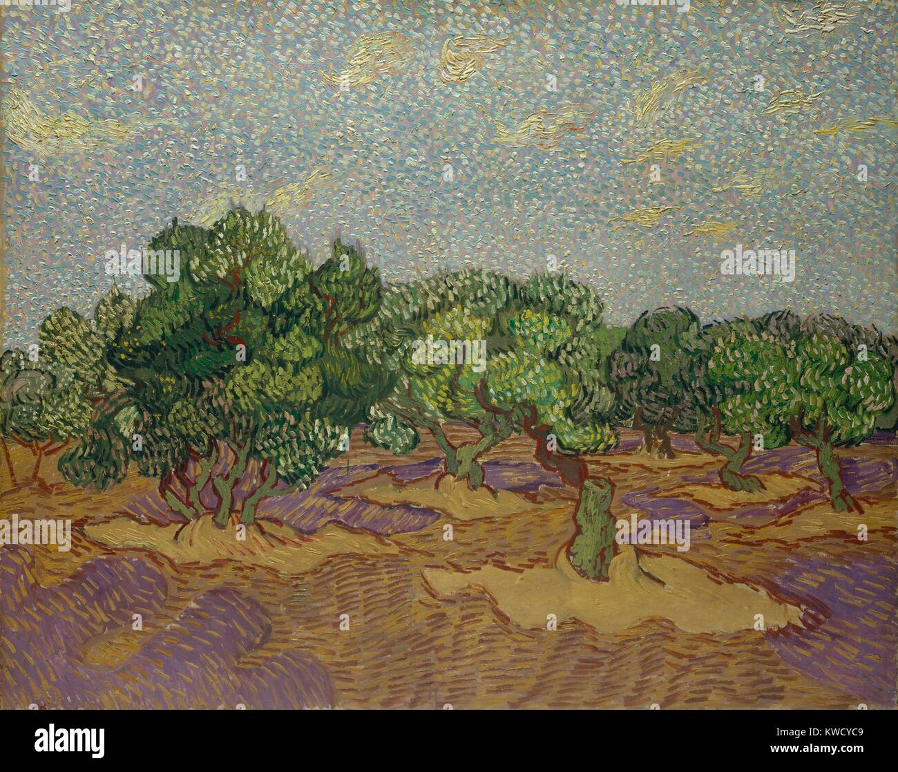 Olivenbäume, von Vincent Van Gogh, 1889, Dutch Post-Impressionist, Öl auf Leinwand. Die Arbeit wurde direkt aus der Natur gemalt, sondern in einer hoch stilisiert, mit eingebautem Pointillistisches gebrochen Farbe (BSLOC 2017 5 52) Stockfoto