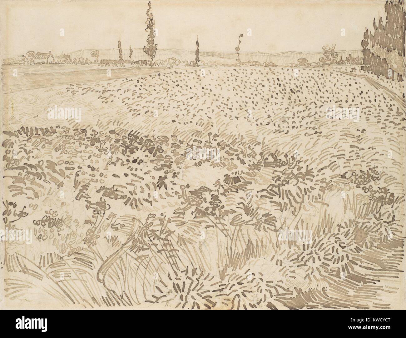 Weizenfeld, von Vincent Van Gogh, 1888, Dutch Post-Impressionist reed Stift über graphit zeichnung. Die Zeichnung ist kleiner als die illusionistischen Raum zurückzieht (BSLOC_2017_5_58) Stockfoto