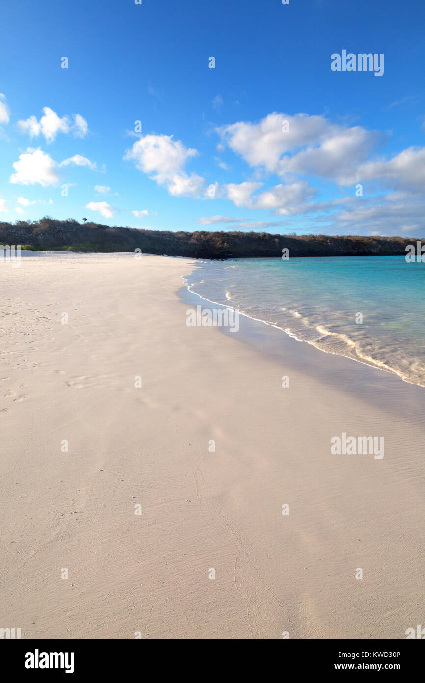 Galapagos Strand - die sandigen verlassenen Strand bei Gardner Bay, Espanola Island, Galapagos, Ecuador Südamerika Stockfoto