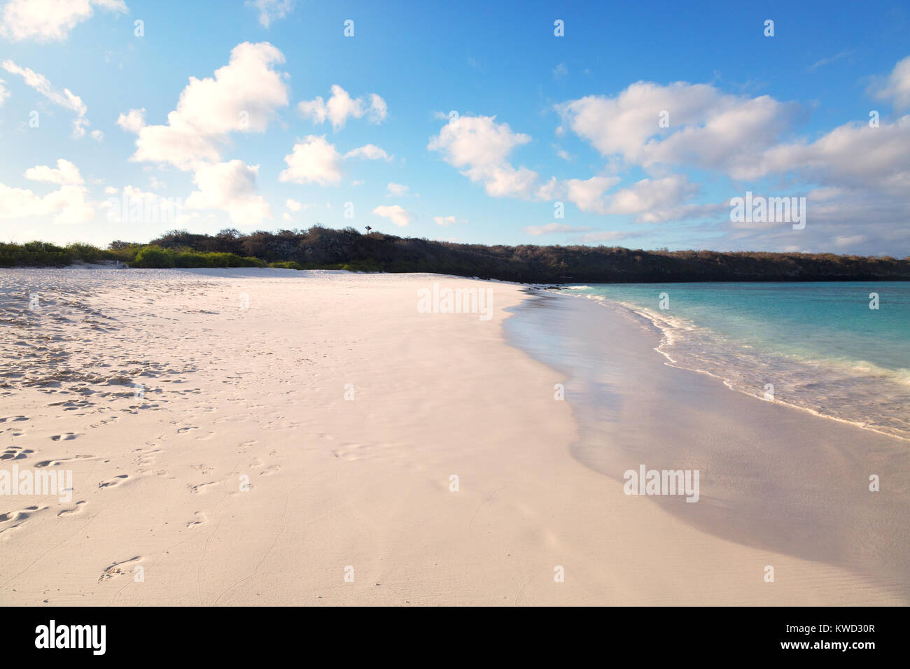 Gardner Bay Beach, Espanola Island, Insel (Haube), Galapagos, Ecuador Südamerika Stockfoto