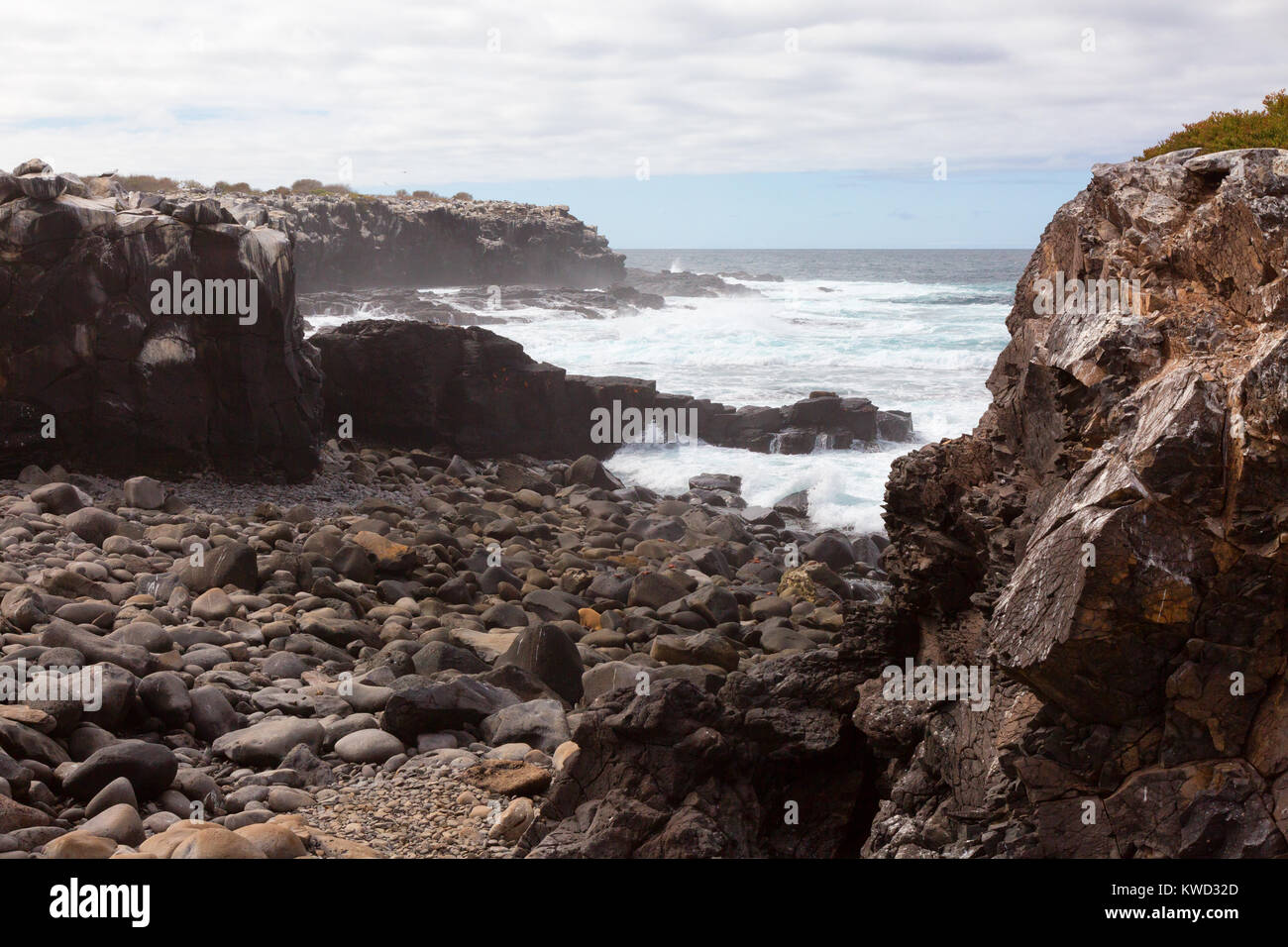 Galapagos Insel Espanola - Der einsame felsige Küstenlinie von Espanola Island (Haube Insel), Galapagos, Ecuador Südamerika Stockfoto