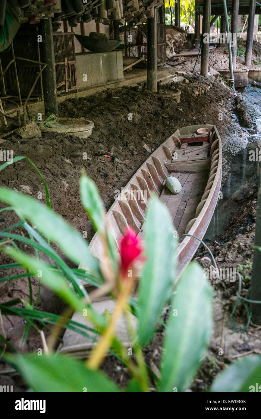 Blume und traditionelle Thai Boot im Coconut Sugar Plantation, Tambon Kradangnga, Samut Songkhram, Thailand Stockfoto