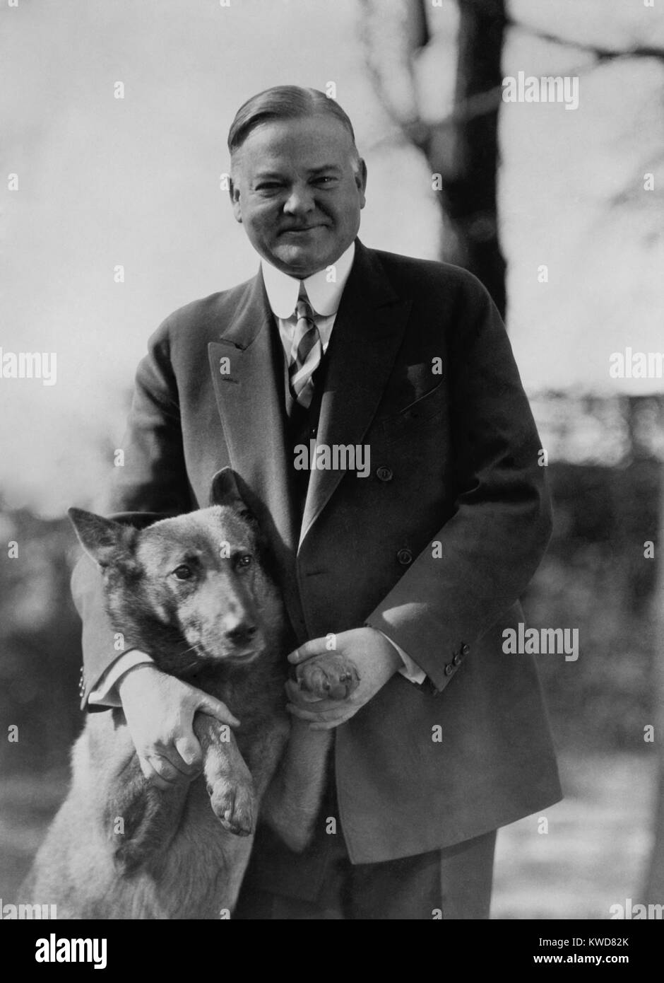 Präsident Herbert Hoover mit seiner Belgischen Schäferhund, King Tut, im Jahr 1928. Das Foto wurde während des Präsidentschaftswahlkampfs Hoover 1928 ein persönlicher Bild des reservierten Hoover zu präsentieren. Die New York Times nannte ihn "einen der glücklichsten Bilder gemacht" von Hoover. (BSLOC 2015 16 52) Stockfoto