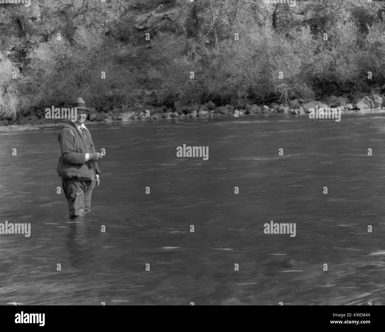 Viele Fische datieren Website edmonton