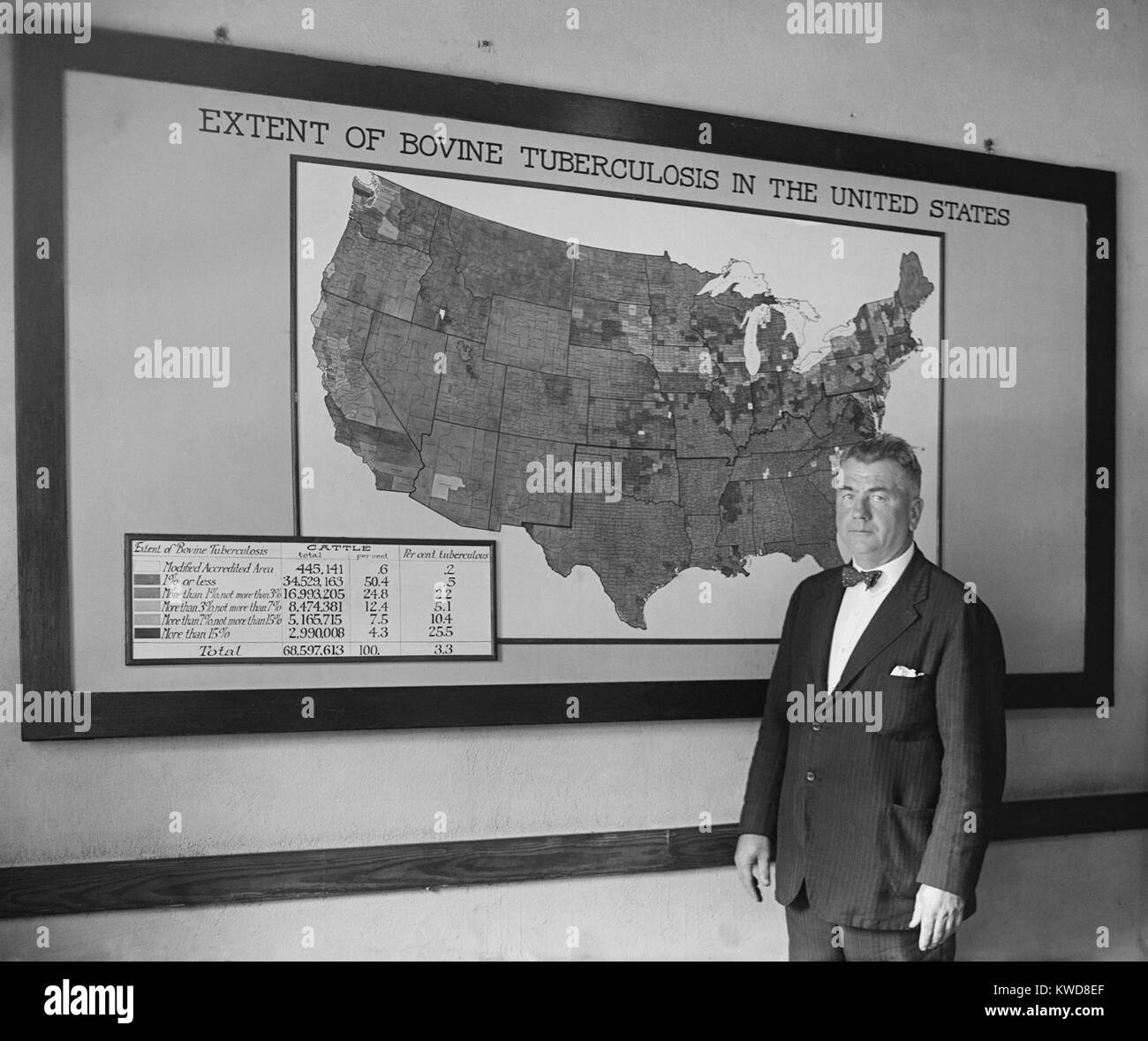 Dr. J. A. Kierman vorangegangen Tuberkulose Tilgung in den USA Abt. der Landwirtschaft. Sept. 17, 1924. Die dunkelsten Grafschaften auf der Karte sind die Infektionsraten bei über 15 % der Menschen, die mit der Kuh arbeitete übertragen werden könnte, oder ihr Fleisch Tuberkulin, oder Ihre nicht pasteurisierter Milch trank. (BSLOC 2015 16 101) Stockfoto