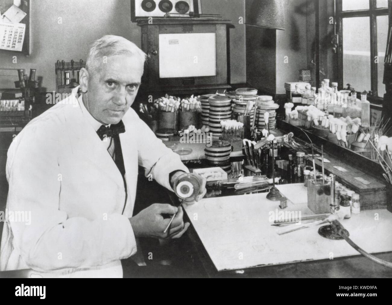 Dr. Alexander Fleming, (1903-1972), schottischer Biologe, Antibiotikum Penicillin 1928 entdeckt. Während des Zweiten Weltkriegs Howard Walter Florey und Ernst Boris Chain entwickelt ein Mittel zur Herstellung von Penicillin im industriellen Maßstab. Alle drei teilten die 1945 Nobelpreis für Medizin (BSLOC 2016 10 17) Stockfoto