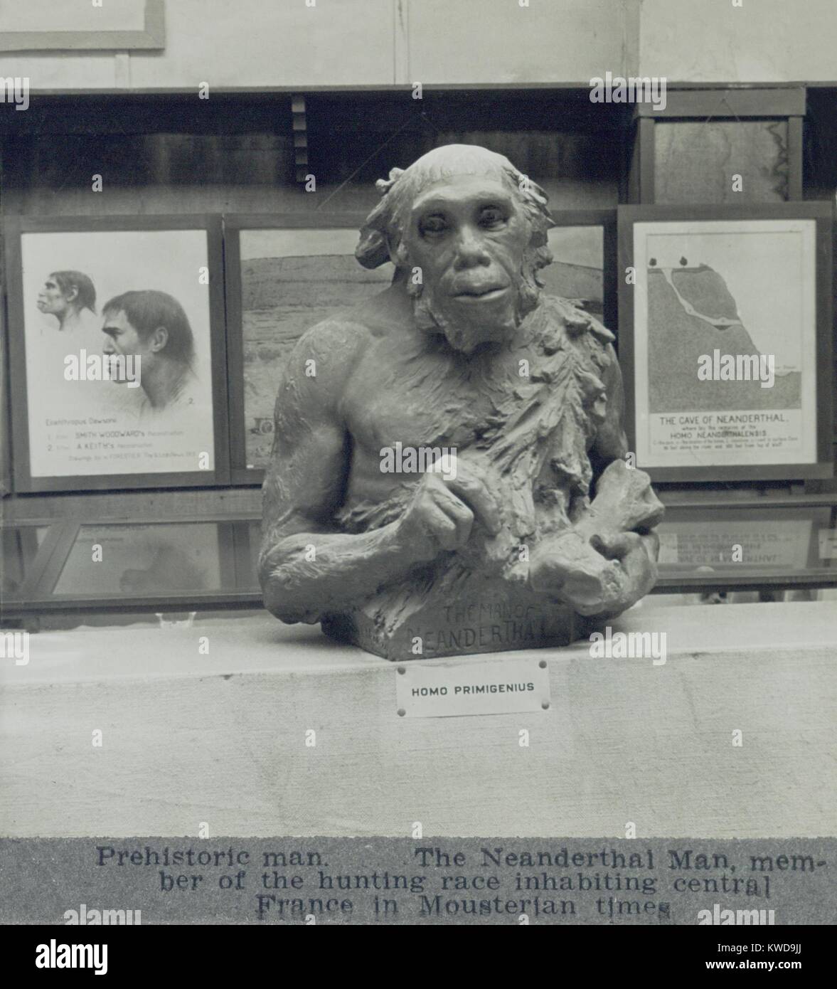 1920er Jahren mutmaßlich Schaffung eines Neandertalers. 90 Jahre, nachdem diese Statue wurde erstellt, Wissenschaftler Störung es als ungenau für seine gebeugte Haltung und Schimpanse - wie Gesichts Struktur (BSLOC 2016 10 20) Stockfoto