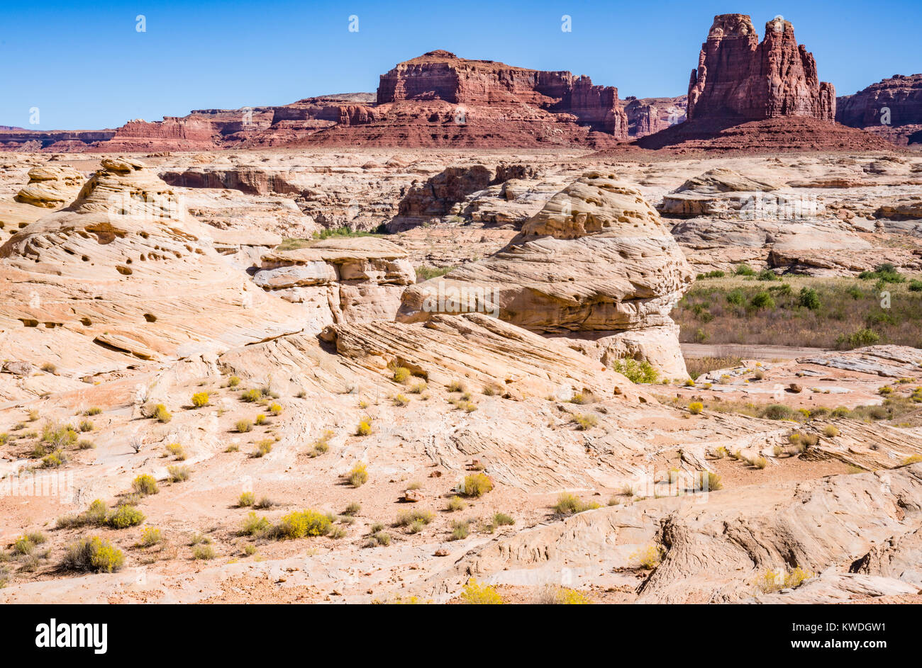 Tal der Götter in Utah innerhalb der trägt, befindet Ohren National Monument. Stockfoto
