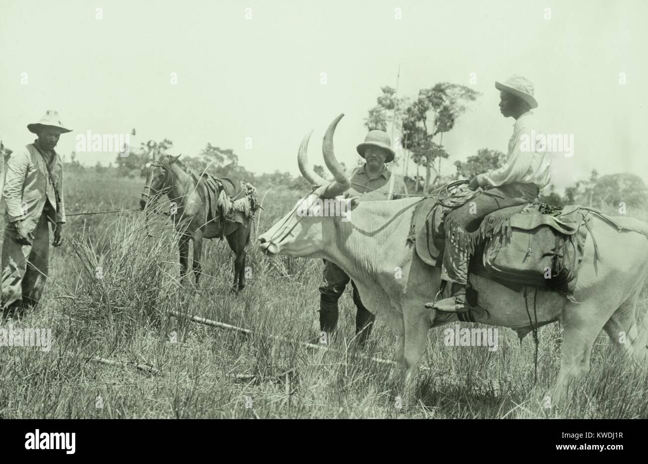 Theodore Roosevelt und andere Der Roosevelt-Rondon Expedition, Jan.-Feb. 1913. Sie reisen von Caceres auf der Paraguay Fluss in der Parecis Plateau zum Oberlauf des Flusses von Zweifel (BSLOC 2017 8 57) Stockfoto