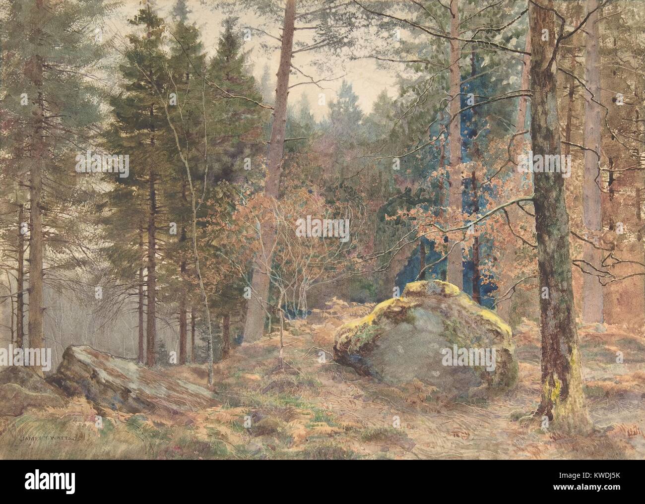 IN EINEM WALISISCHEN KIEFER, von James Thomas Watts, 1891, British Aquarell Malerei. Watt wurde von Ruskin und die präraffaeliten beeinflusst. Dieses kleine detaillierte Landschaft ist ein Meisterwerk der englischen Aquarell (BSLOC 2017 9 138) Stockfoto