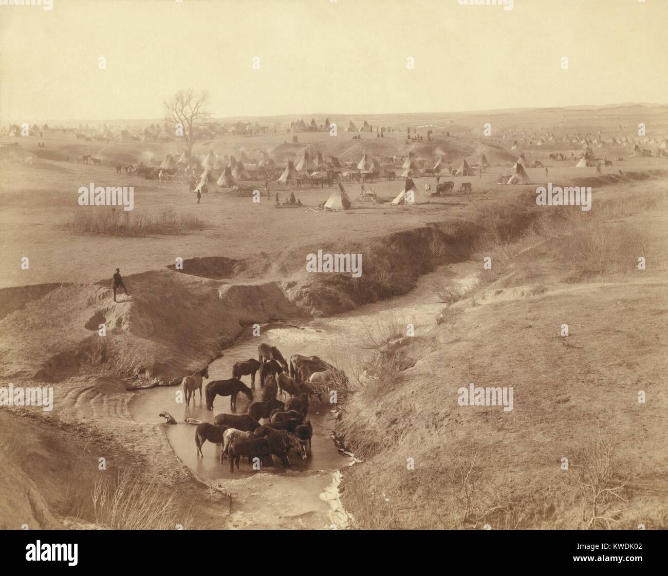 Brule Sioux Camp von 2.000 nach dem Wounded Knee Massacre, auf Pine Ridge Indian Reservation. Dezember 29, 1890, Krieger aus diesem Lager weg zum Sound der Waffen. Sie griffen auf die US-Soldaten, sondern wandte sich wieder unter Feuer, mit einem Krieger getötet. Nach dem Massaker, ihr Lager wurde von der US-Armee umgeben, während 14.01.1891. Im Vordergrund die Pferde trinken in White Clay Creek Wasserloch. Foto von John Grabill, Jan. 1891 (BSLOC 2017 18 12) Stockfoto