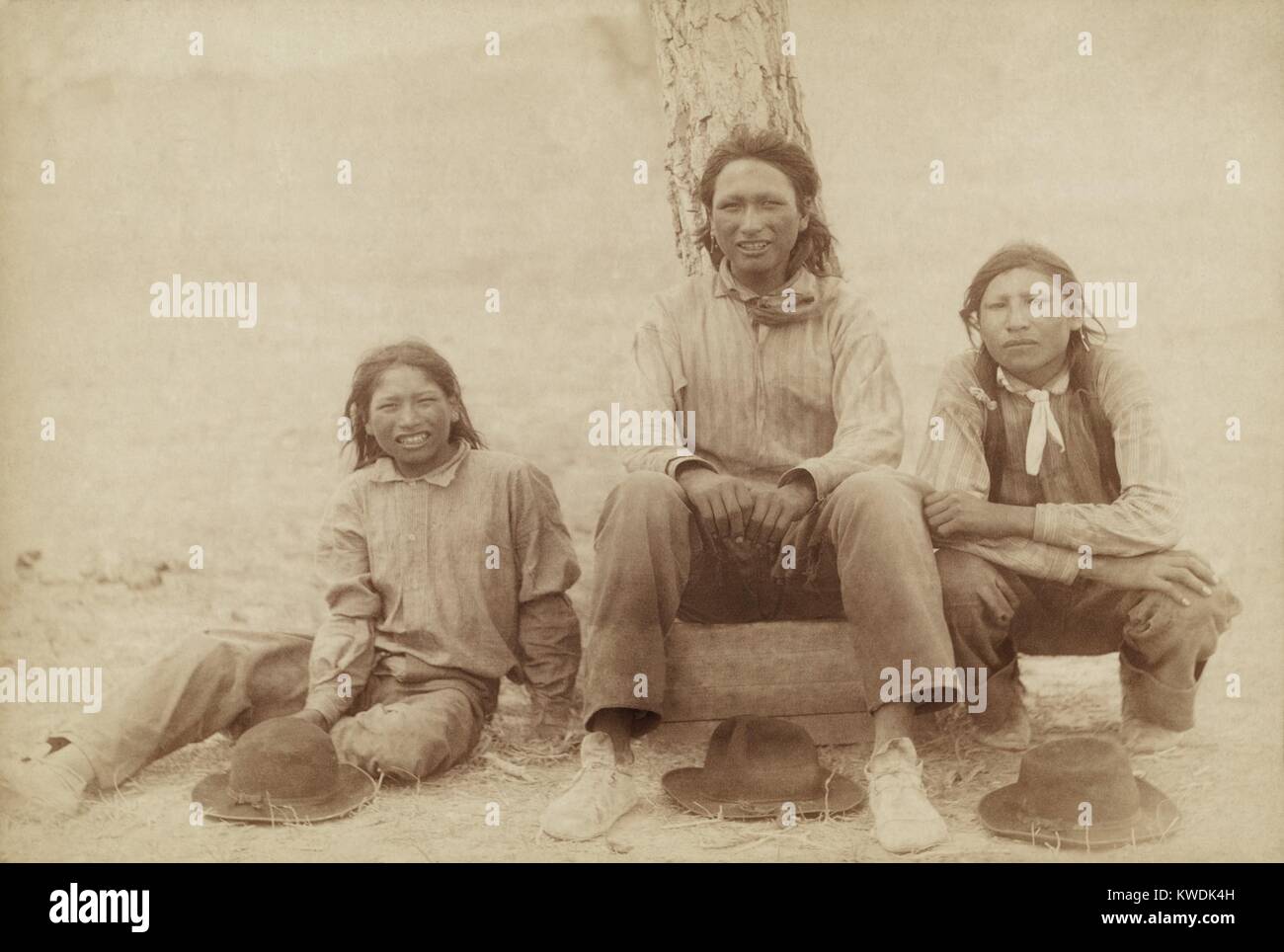 Drei Lakota Jungen im Teenageralter in westlicher Kleidung, nach dem Wounded Knee Massacre fotografiert. Die abfällige caption bezeichnet sie als Drei von Uncle Sams Haustiere, die Rationen alle 29 Tage erhalten. Foto von John C.H.Grabill, vermutlich auf dem Pine Ridge Reservat. Foto von John Grabill, Jan. 1891 (BSLOC 2017 18 42) Stockfoto