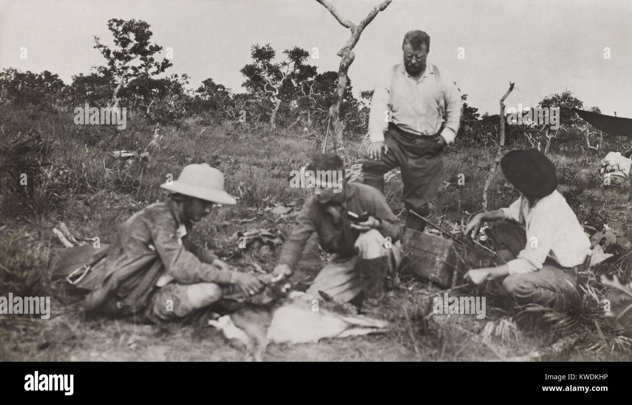 Naturforscher der Smithsonian - Roosevelt African Expedition, um einem toten Tier hocken. L-R: Kermit Roosevelt, Edmund Heller, Theodore Roosevelt (stehend), nicht identifizierte. Juli 1909 - Feb. 1910 (BSLOC 2017 8 12) Stockfoto