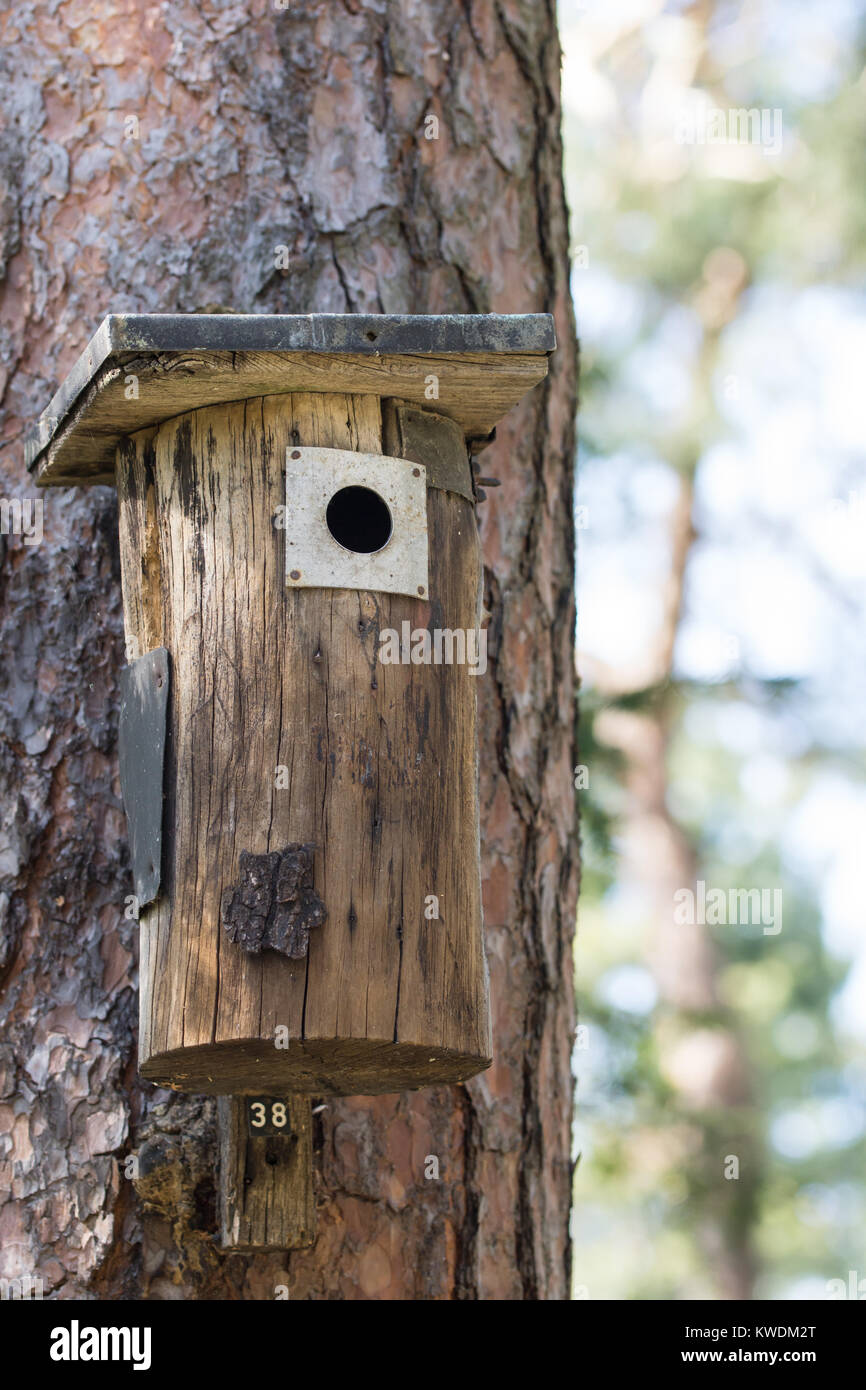 58+ Vogelhaus Für Den Winter, Gut durch den winter mit diesen