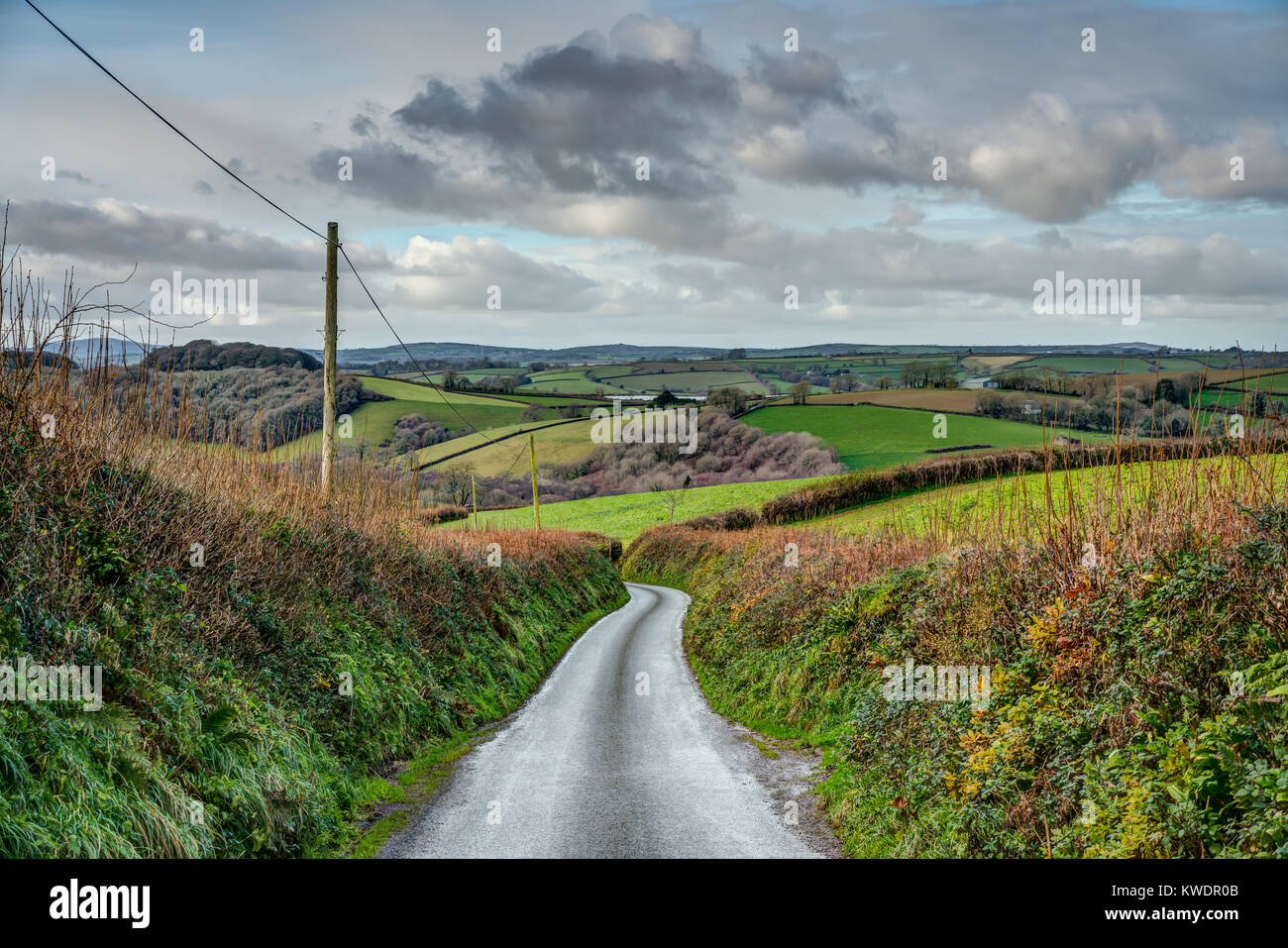 Eine ländliche Cornish Feldweg im Winter durch traditionelle Bronze und grüne Hecke führt Sie in den grünen Feldern und Wäldern umschlossen Ackerland Stockfoto