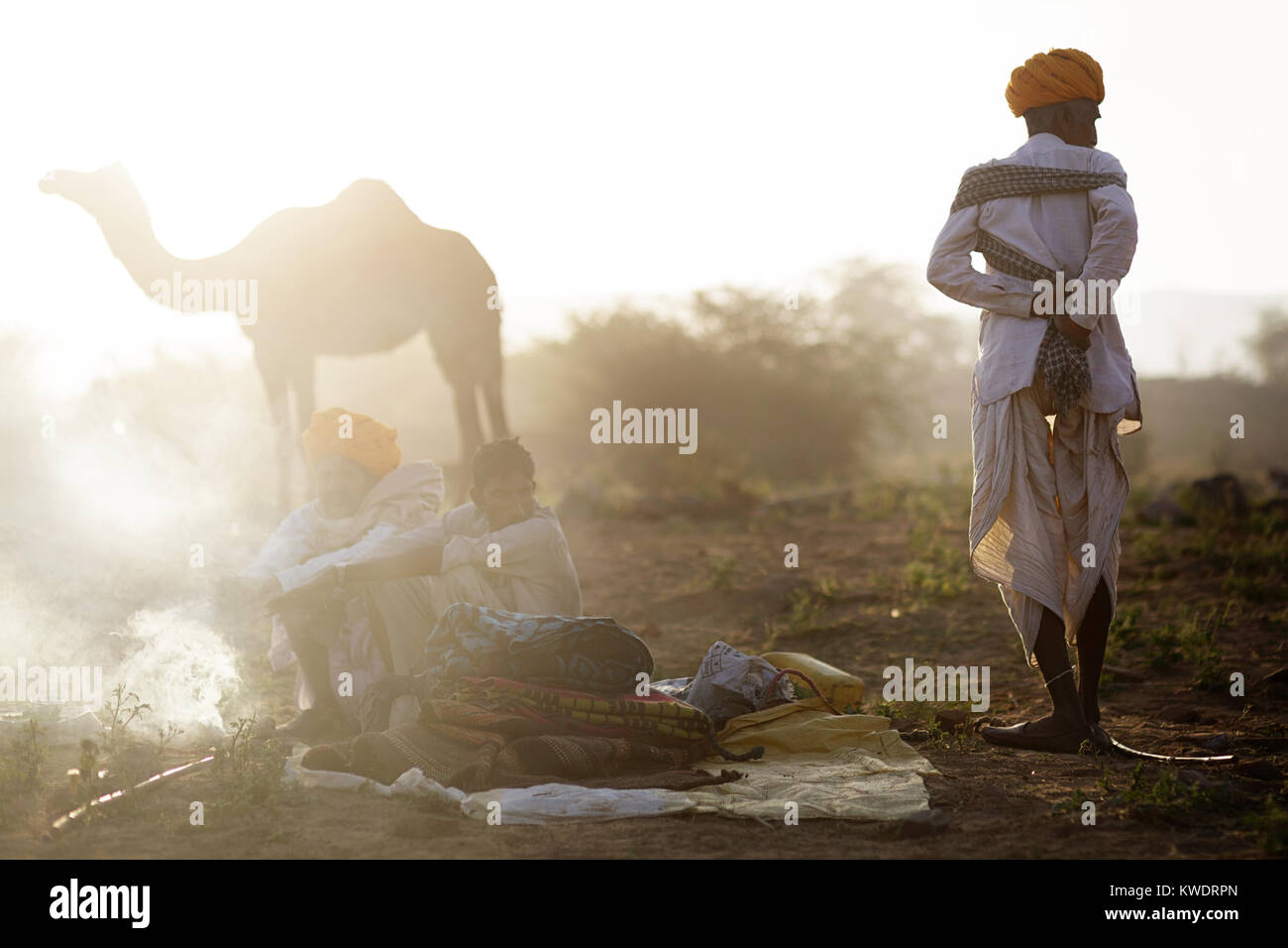 Szene in Pushkar Camel Fair, Senior Trader tragen turban Vorbereitung auf neue Handelstag mit einem Kamel in der Rückseite, Pushkar, Rajasthan, Indien Stockfoto