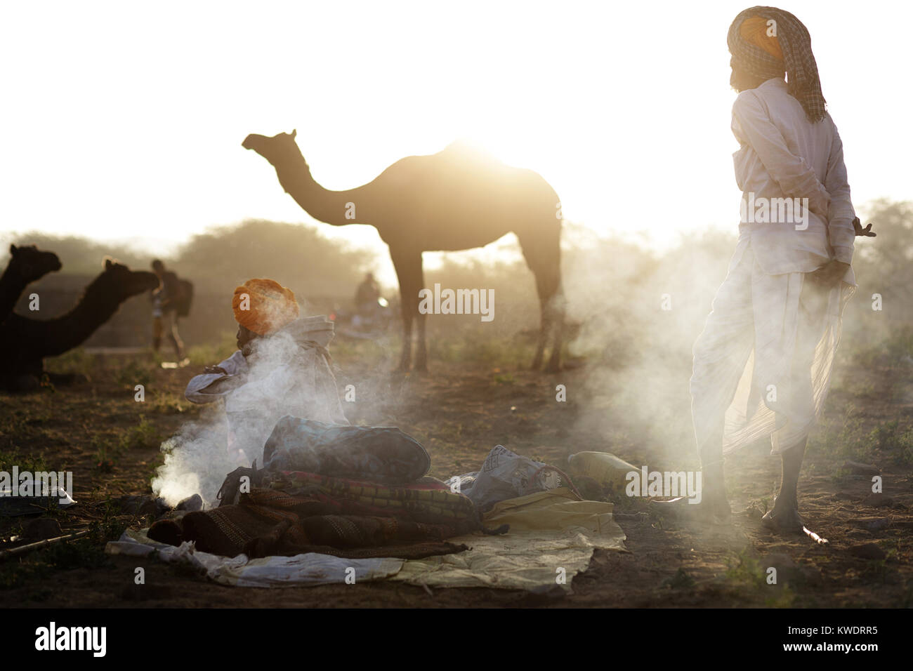 Szene in Pushkar Camel Fair, Senior Händler von Kamin in der Herde Kamele, Pushkar, Rajasthan, Indien Stockfoto