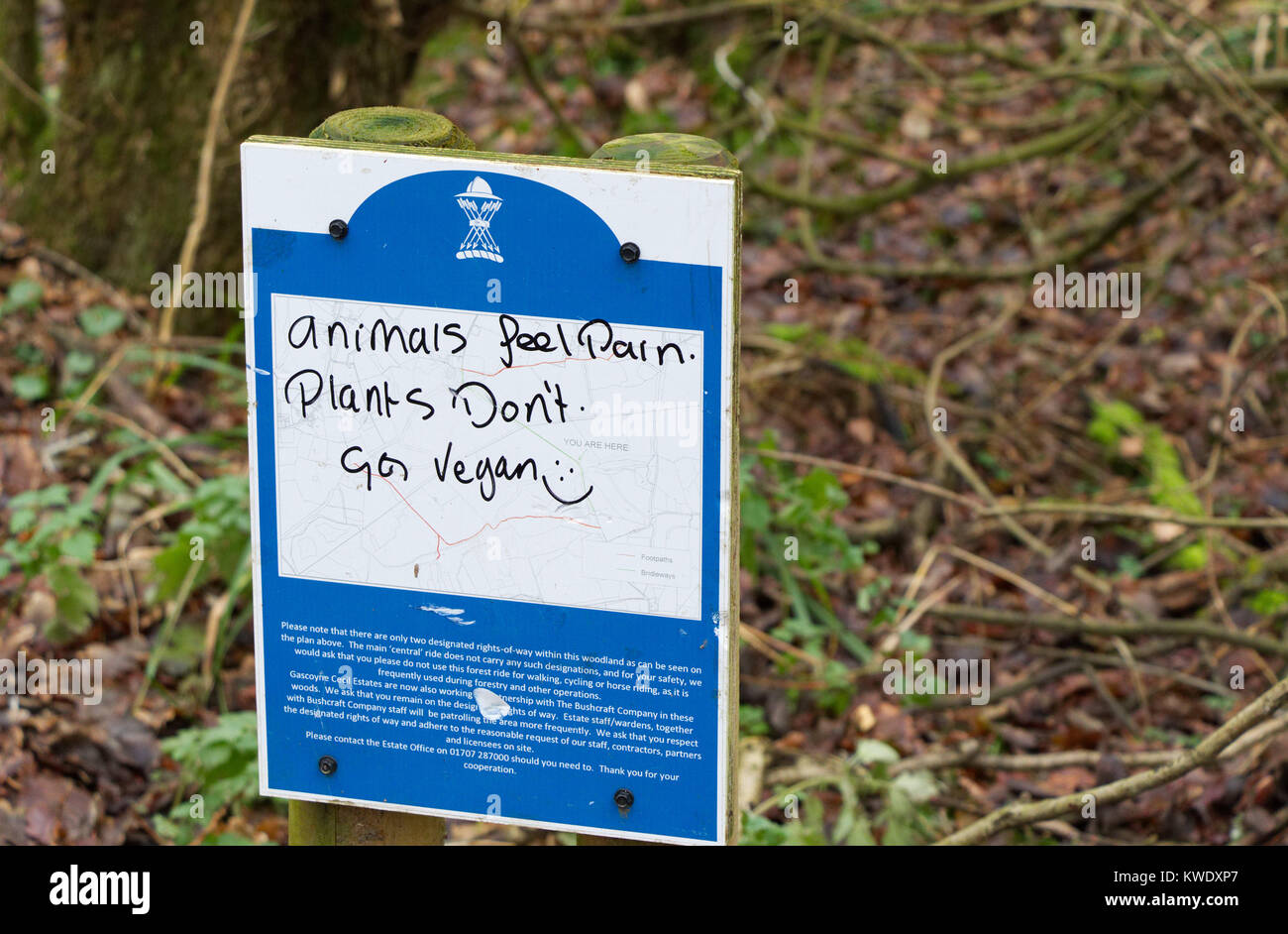 Auf dem Land zeichen beschmiert mit vegane Propaganda Graffiti, Broxbourne Woods, Winter, Großbritannien Stockfoto