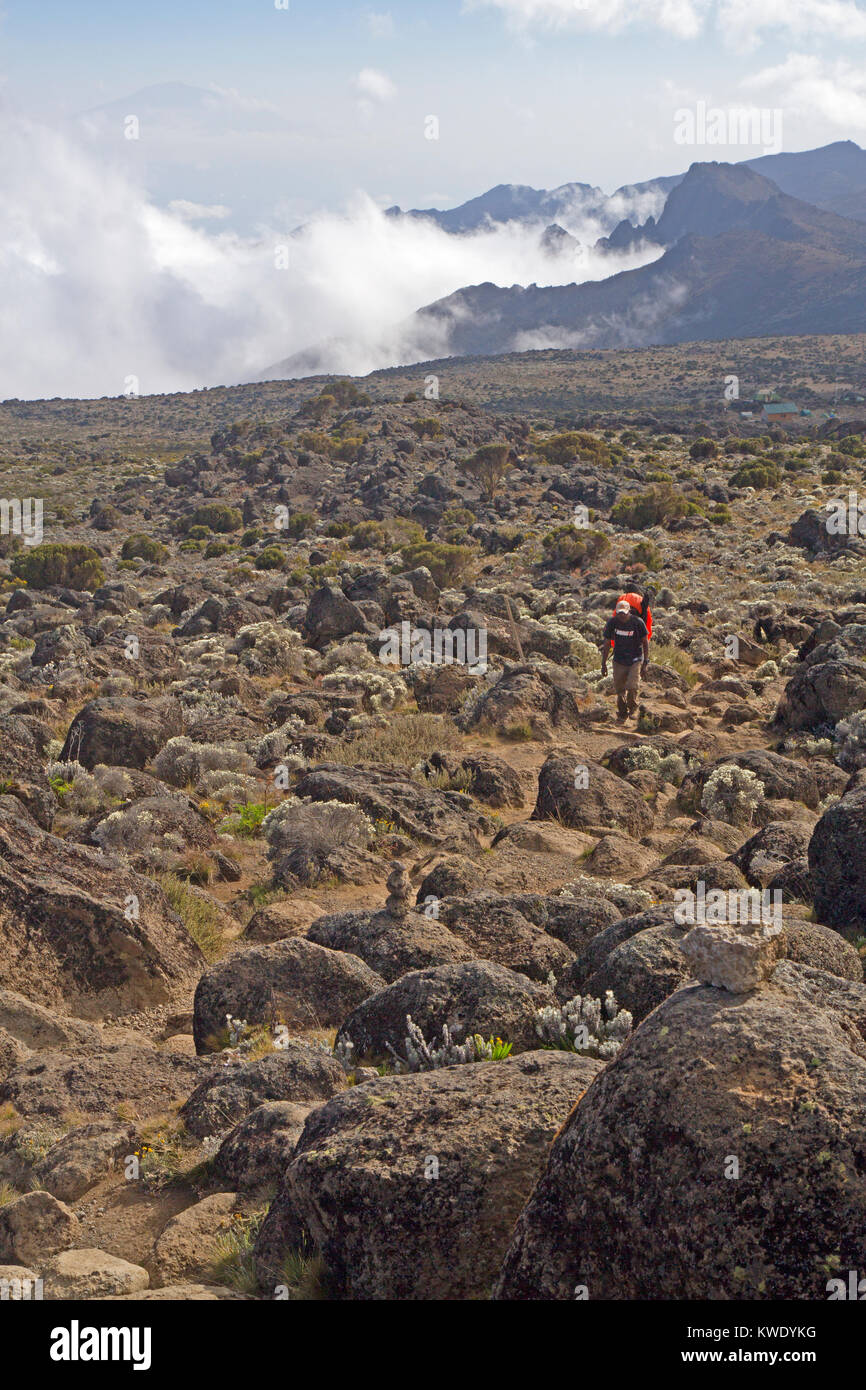 Trekker an den südlichen Hängen des Mount Kilimanjaro Stockfoto