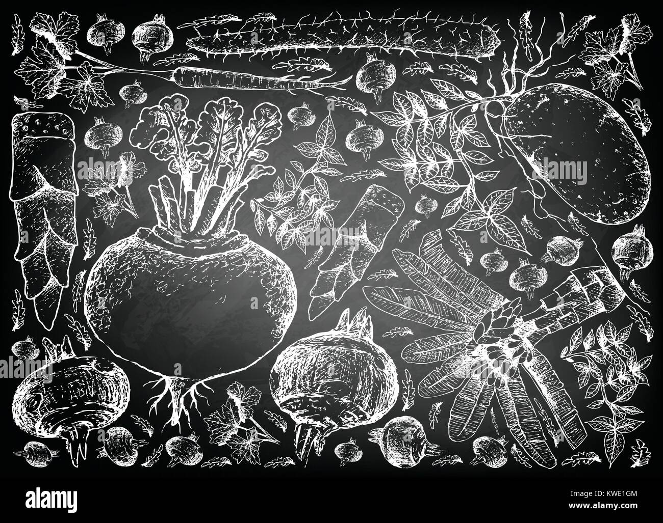Root und knötchenförmige Gemüse, Illustration Hand gezeichnete Skizze ...