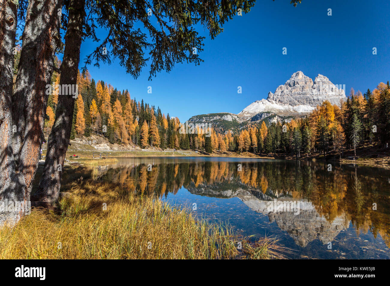 Reflexionen in See Antorno, Misurina, Auronzo di Cadore, Italien, Europa. Stockfoto