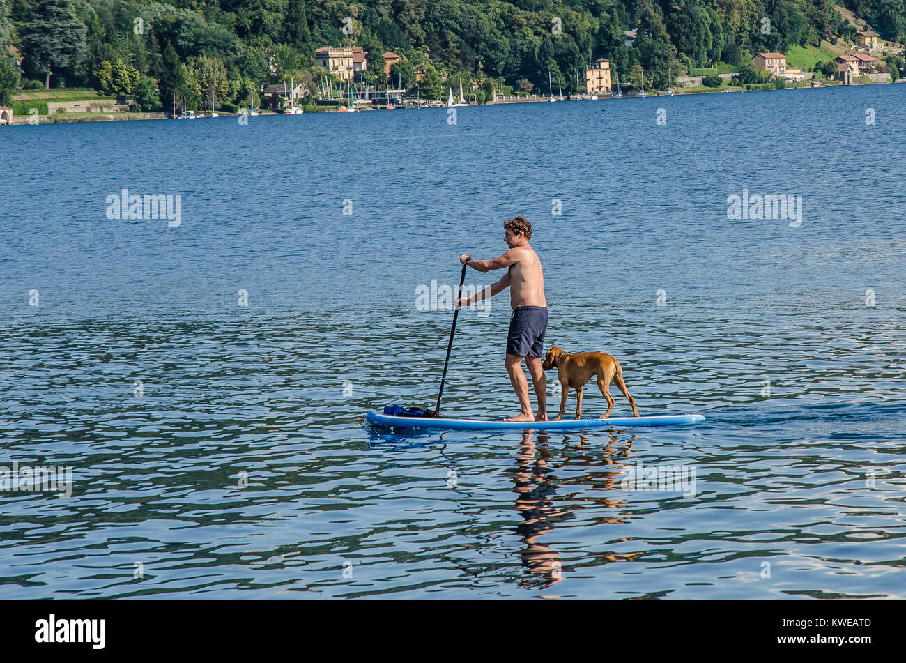 Hund auf paddelbrett Fotos und Bildmaterial in hoher Auflösung Alamy