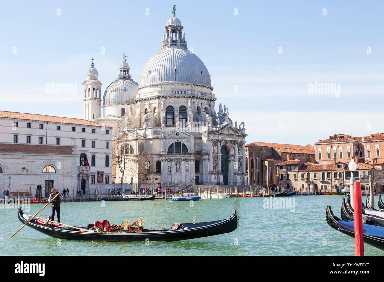 Gondoliere und Gondeln auf dem Canal Grande vor der Basilika di Santa Maria della Salute, Venedig, Italien im Morgenlicht Stockfoto