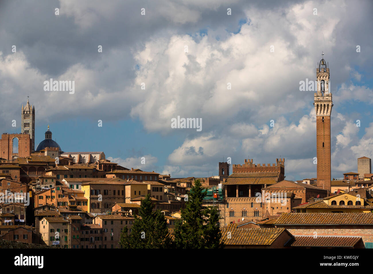 Siena und der Turm des Mangia. Italien Stockfoto
