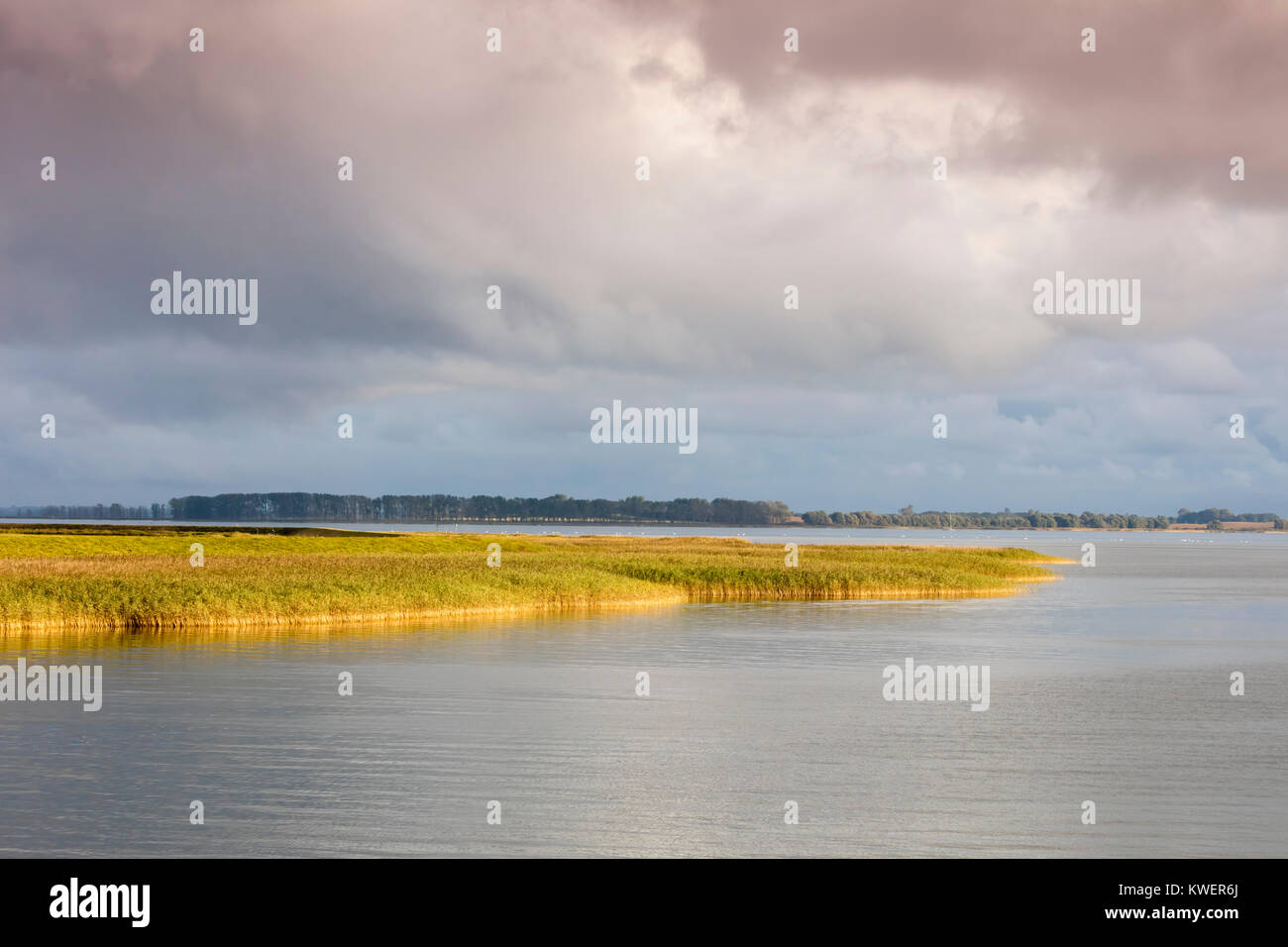 Litle Insel "Kirr", Fischland-Darß-Zingst, Mecklenburg-Vorpommern, Deutschland, Europa Stockfoto