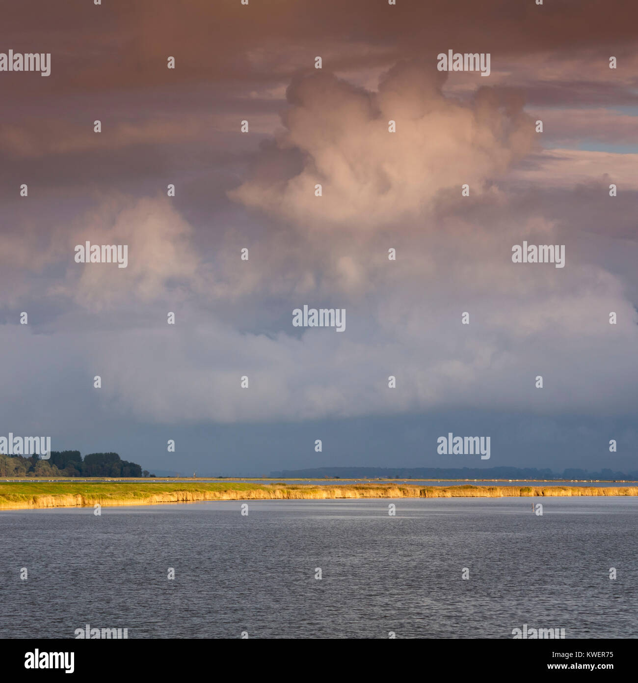 Litle Insel "Kirr", Fischland-Darß-Zingst, Mecklenburg-Vorpommern, Deutschland, Europa Stockfoto