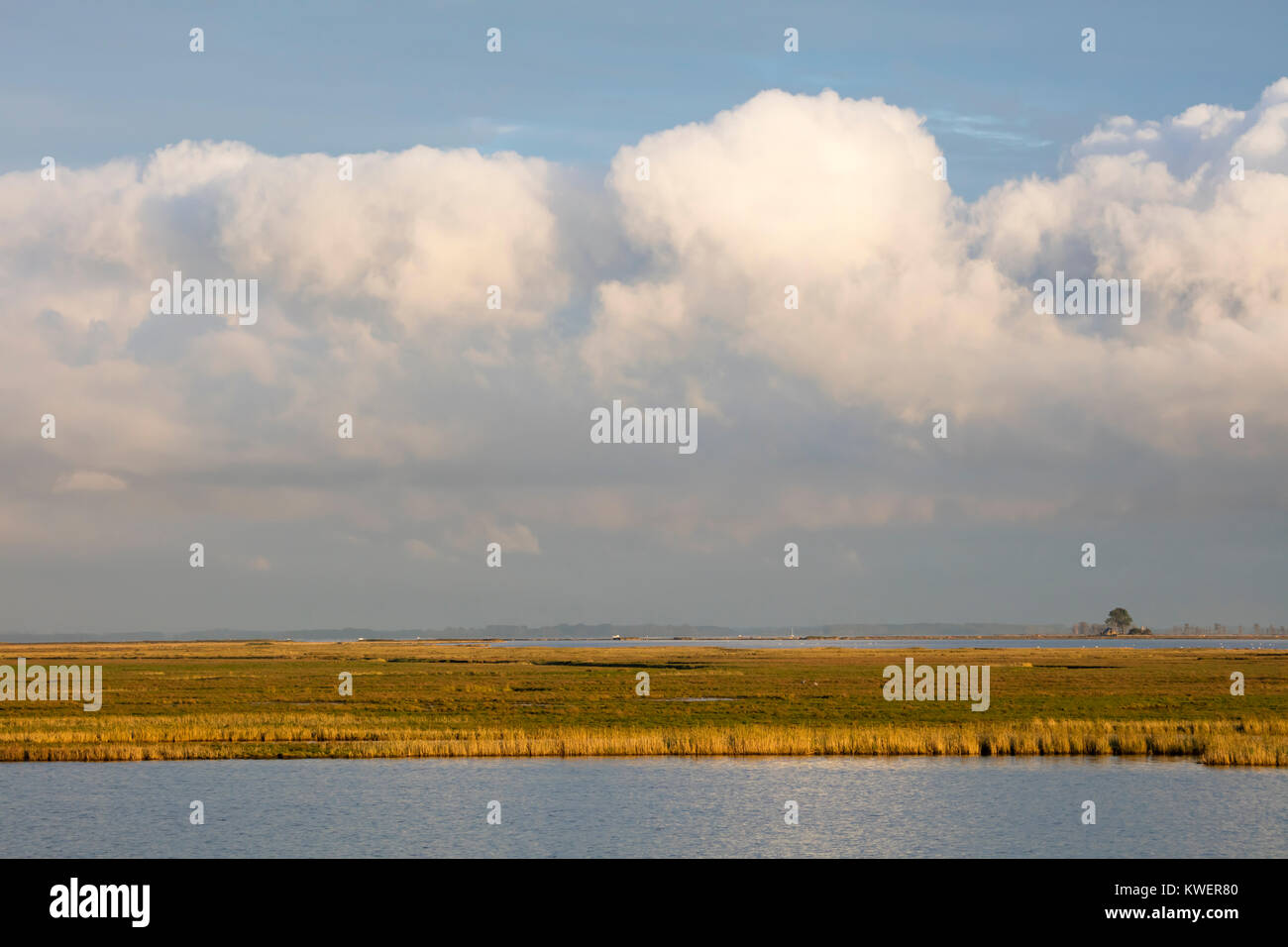 Litle Insel "Kirr", Fischland-Darß-Zingst, Mecklenburg-Vorpommern, Deutschland, Europa Stockfoto