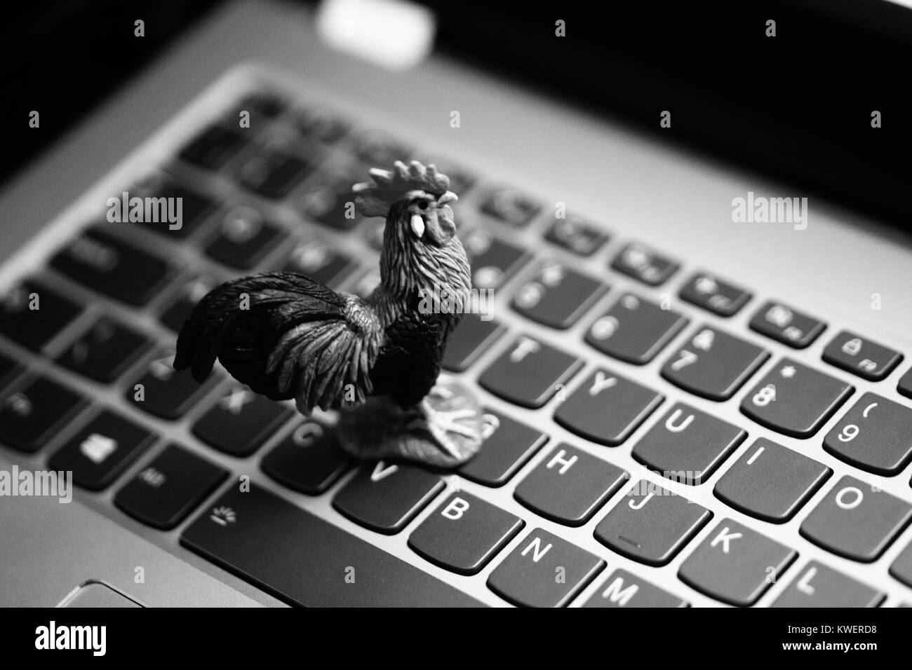 Spielzeug Hahn auf Laptop Tastatur - heimische Tiere und Landwirtschaft im digitalen Zeitalter Stockfoto