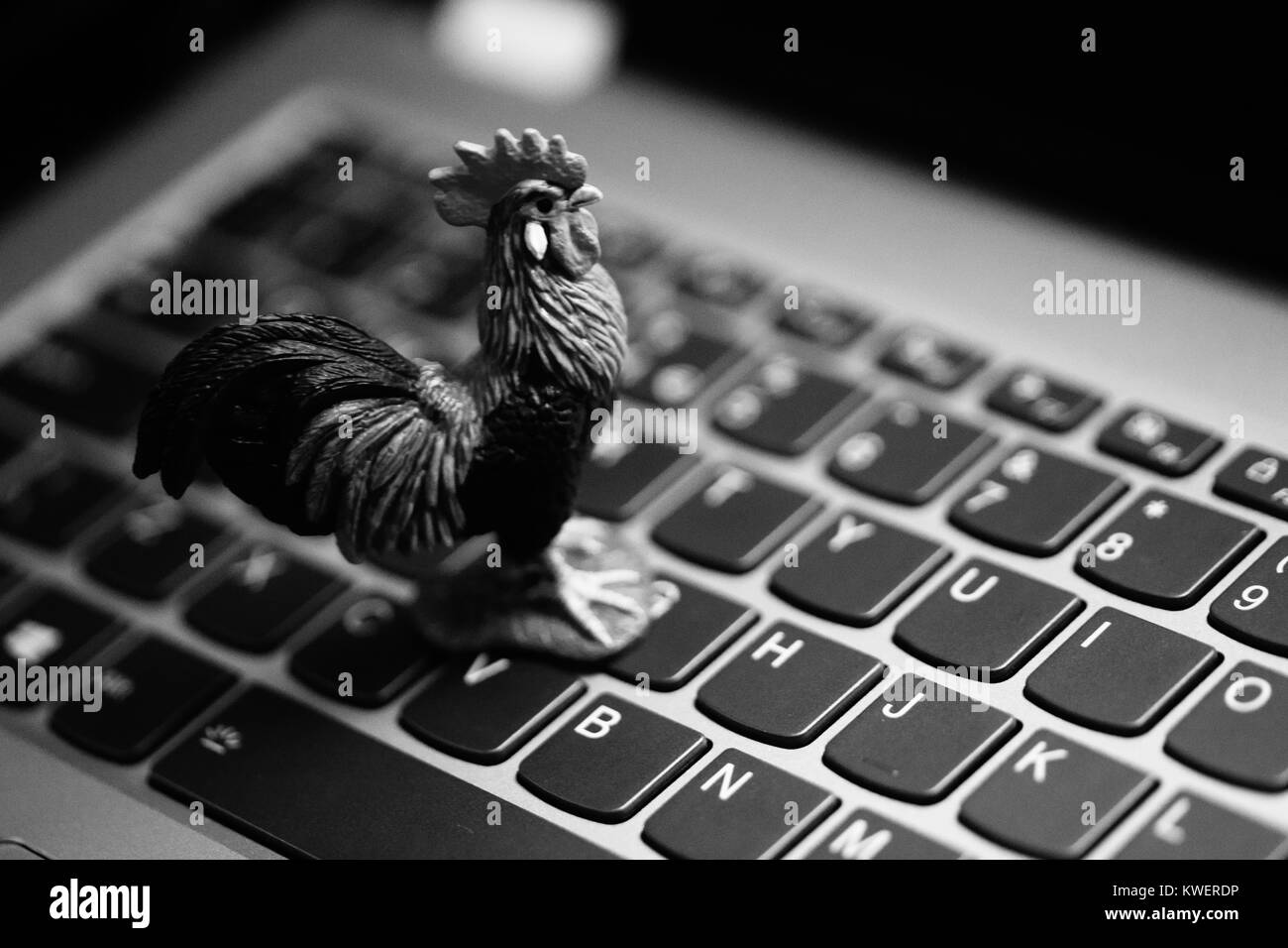 Spielzeug Hahn auf Laptop Tastatur - heimische Tiere und Landwirtschaft im digitalen Zeitalter Stockfoto