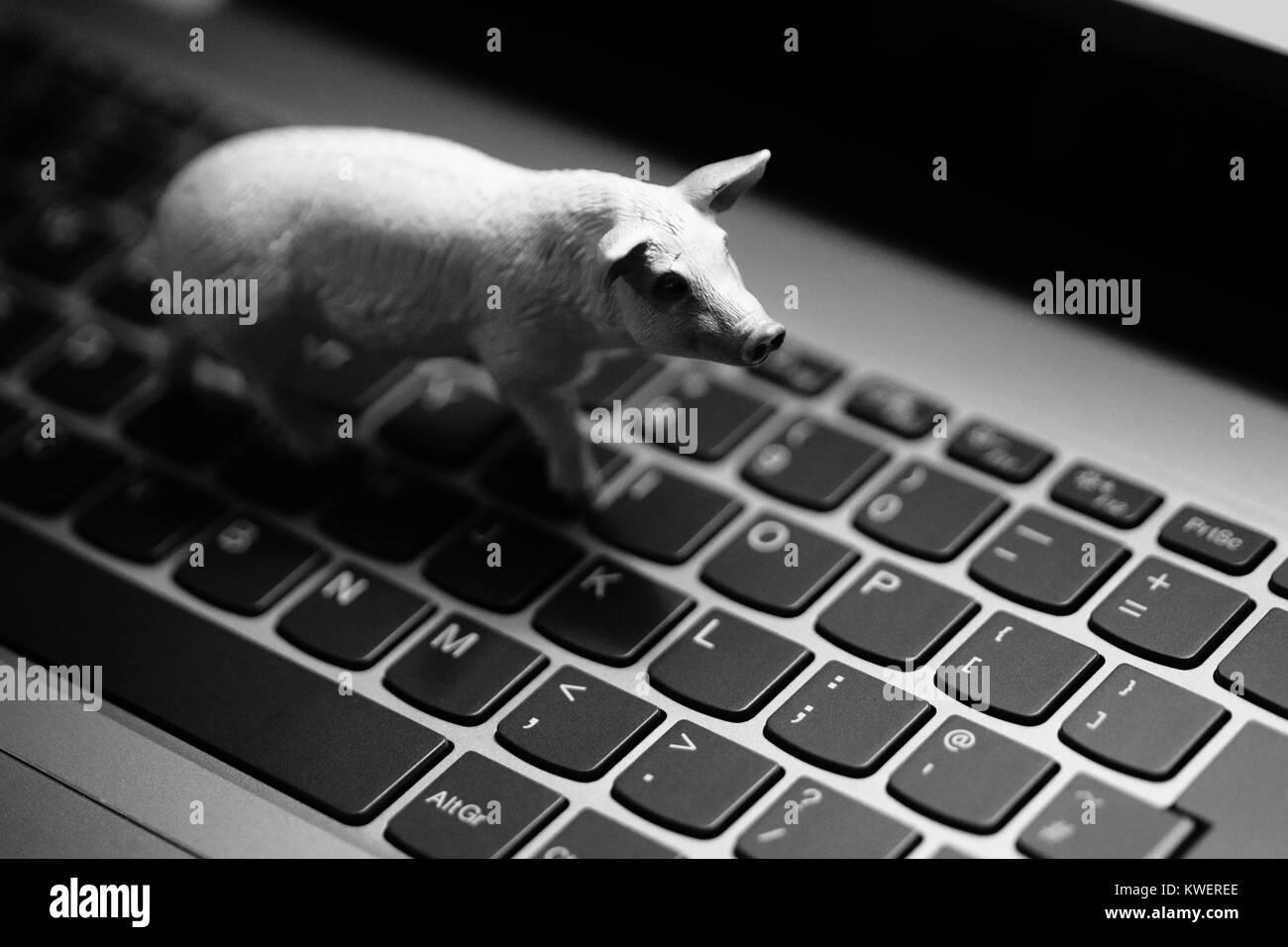 Spielzeug Schwein am Laptop Tastatur - heimische Tiere und Landwirtschaft im digitalen Zeitalter Stockfoto