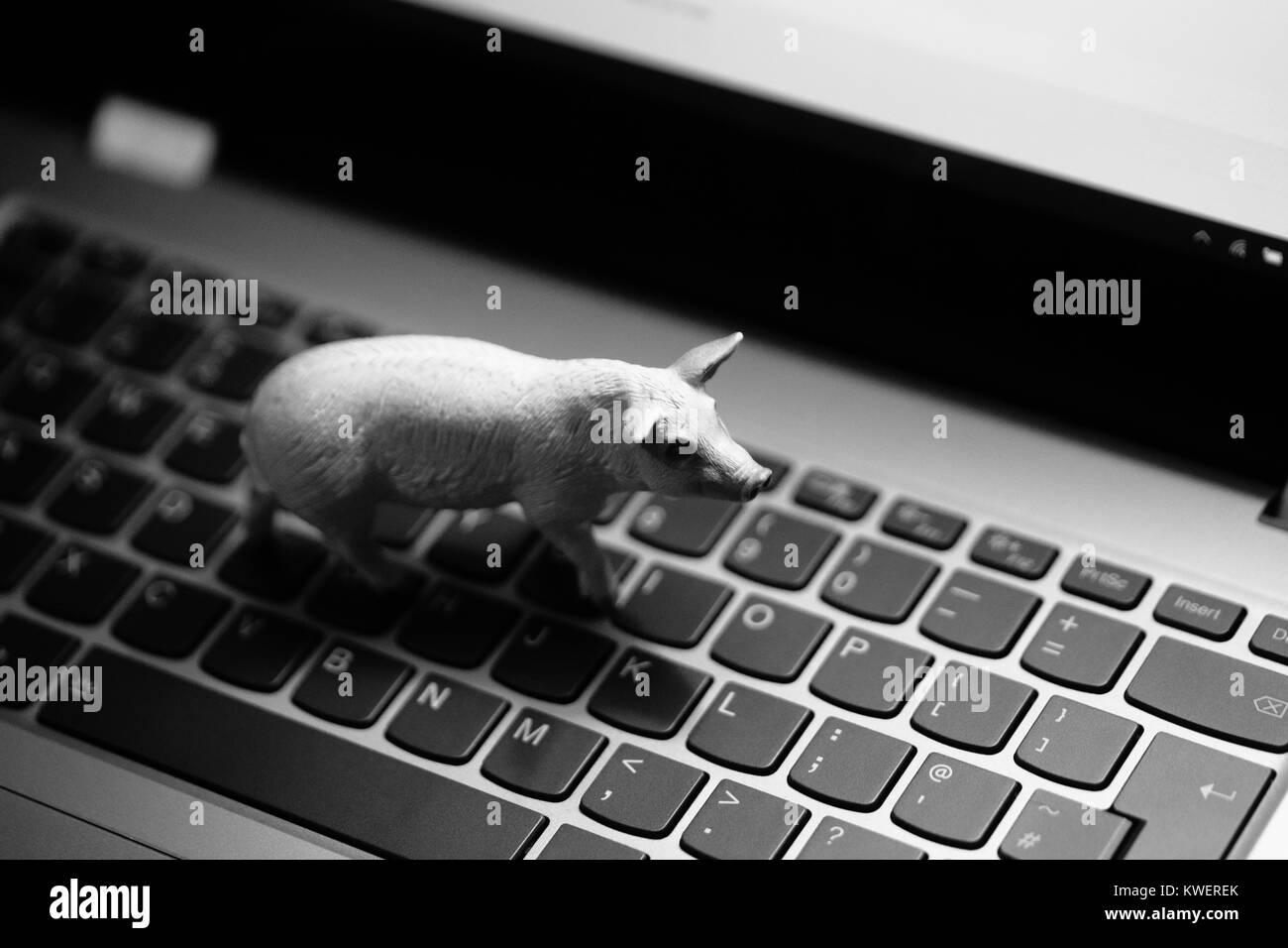 Spielzeug Schwein am Laptop Tastatur - heimische Tiere und Landwirtschaft im digitalen Zeitalter Stockfoto