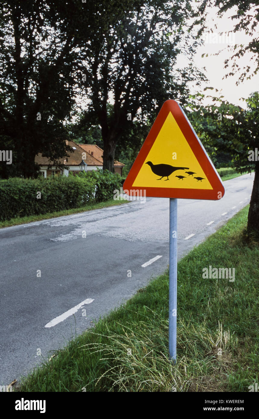 Warnung für Vögel auf der Straße, Skåne, Schweden. Stockfoto