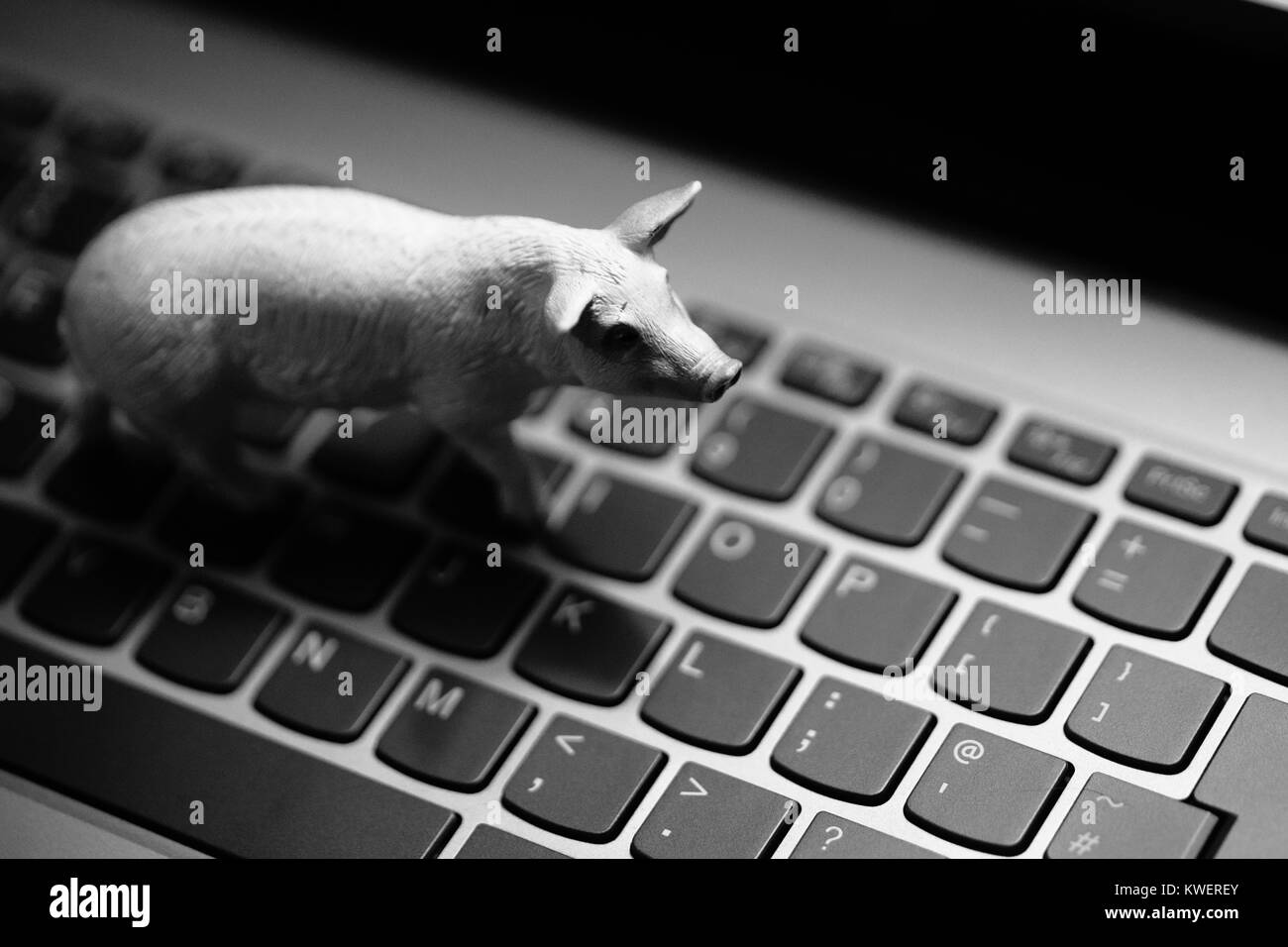 Spielzeug Schwein am Laptop Tastatur - heimische Tiere und Landwirtschaft im digitalen Zeitalter Stockfoto