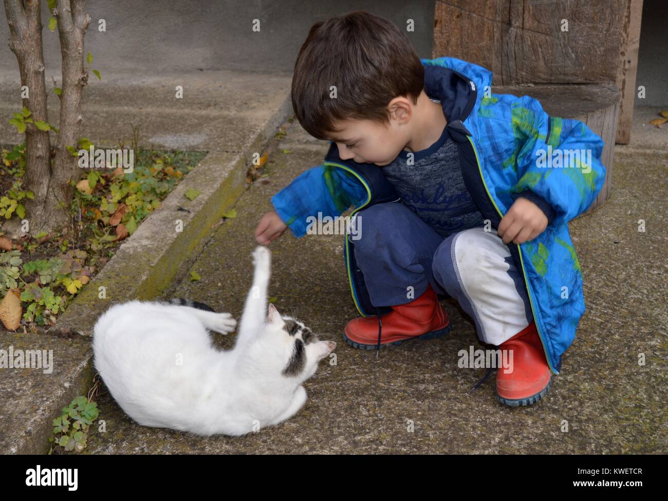 Ein Junge mit einem Cat Stockfoto