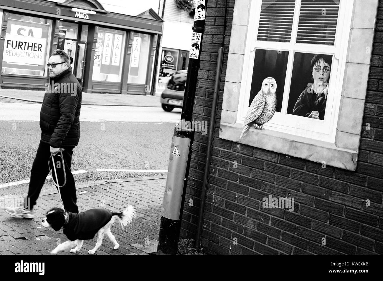 Mann, Hund, Spaziergänge hinter einem Wandgemälde von Harry Potter und seine Eule Blick aus Fenster in Knaresborough, North Yorkshire, Vereinigtes Königreich. Stockfoto