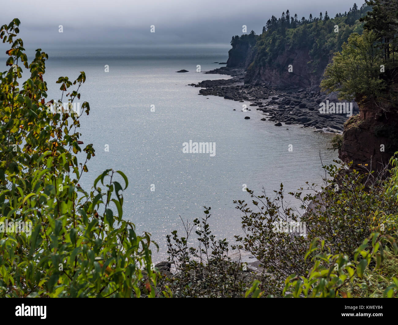 Klippen entlang der Küste, Fundy Trail, Saint Martins, Bucht von Fundy, New Brunswick, Kanada. Stockfoto