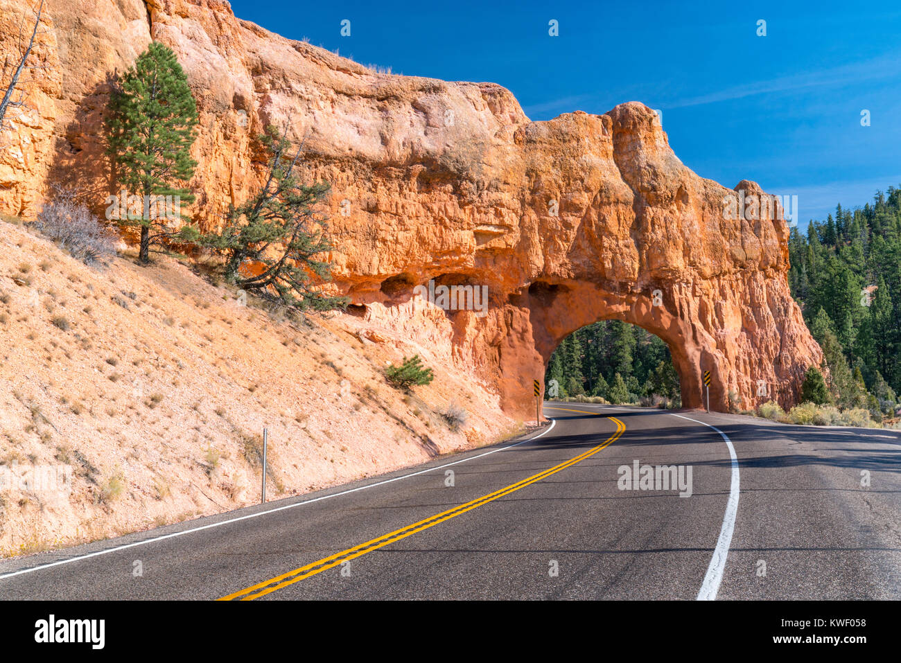 Arch Tunnel durch den Fels entlang Scenic Highway 12 in der Nähe von Red Canyon. Utah Stockfoto