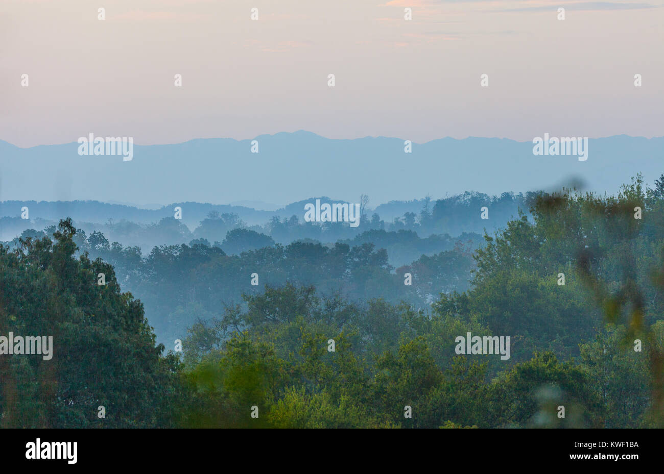 Am frühen Morgen auf die Smoky Mountains von sieben Inseln Zustand Birding Park. Stockfoto