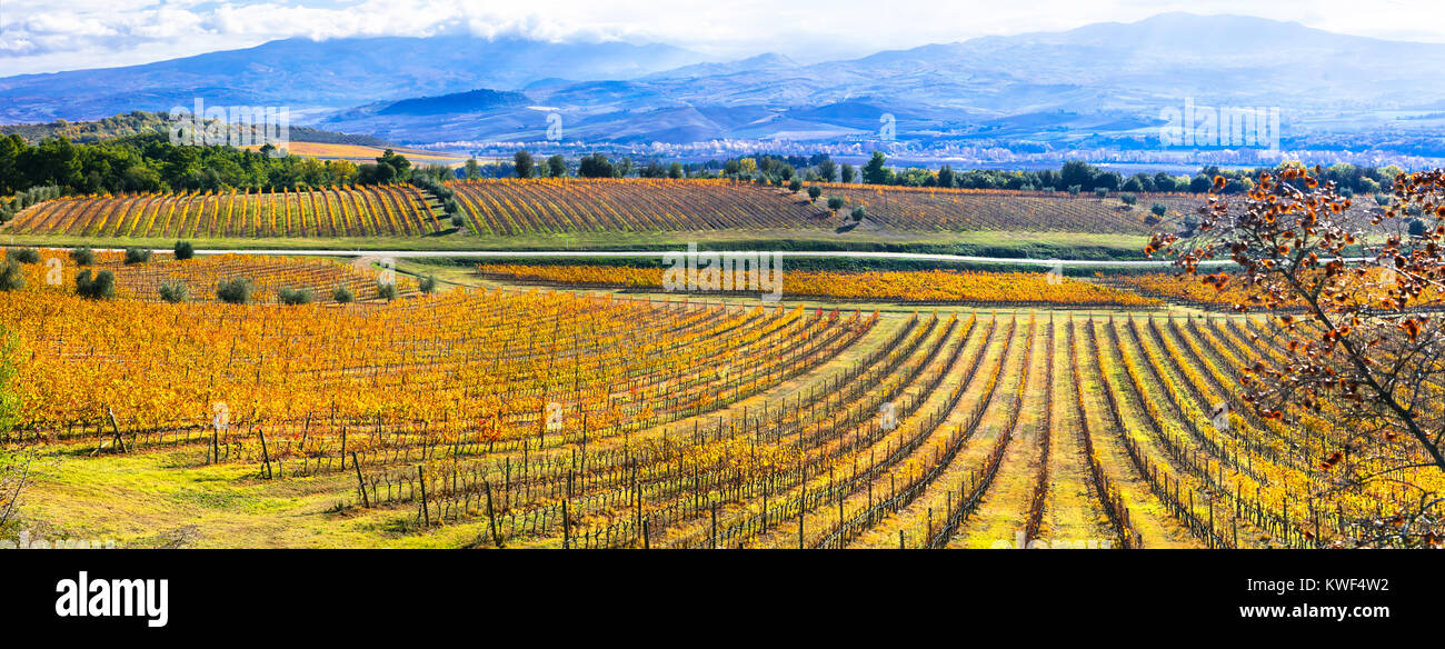 Beeindruckende multicolor Weinberge, Toskana, Panoramablick, Italien. Stockfoto