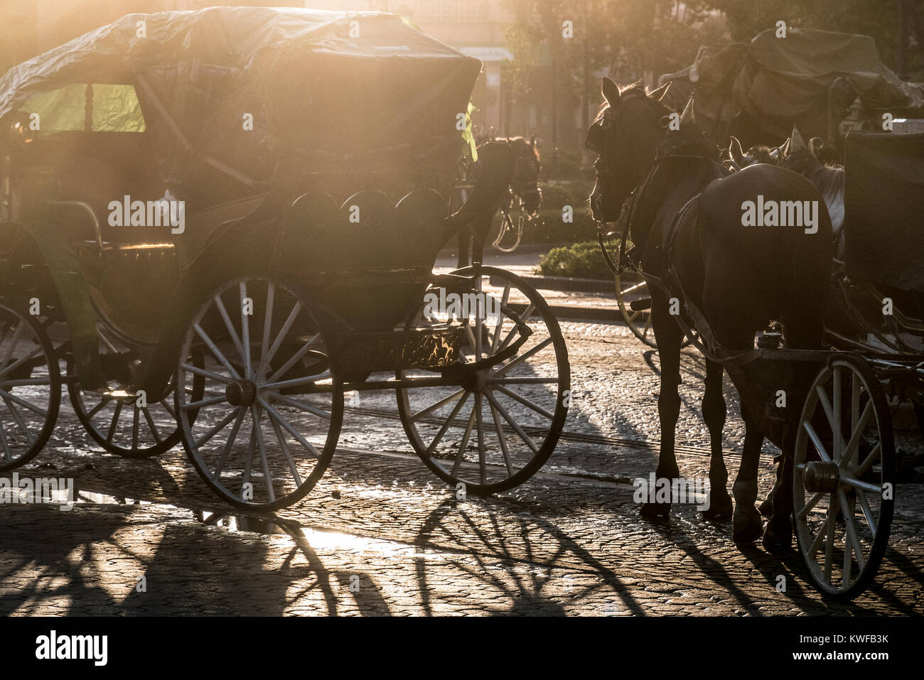Traditionelle Caleche oder Pferdekutsche. Stockfoto
