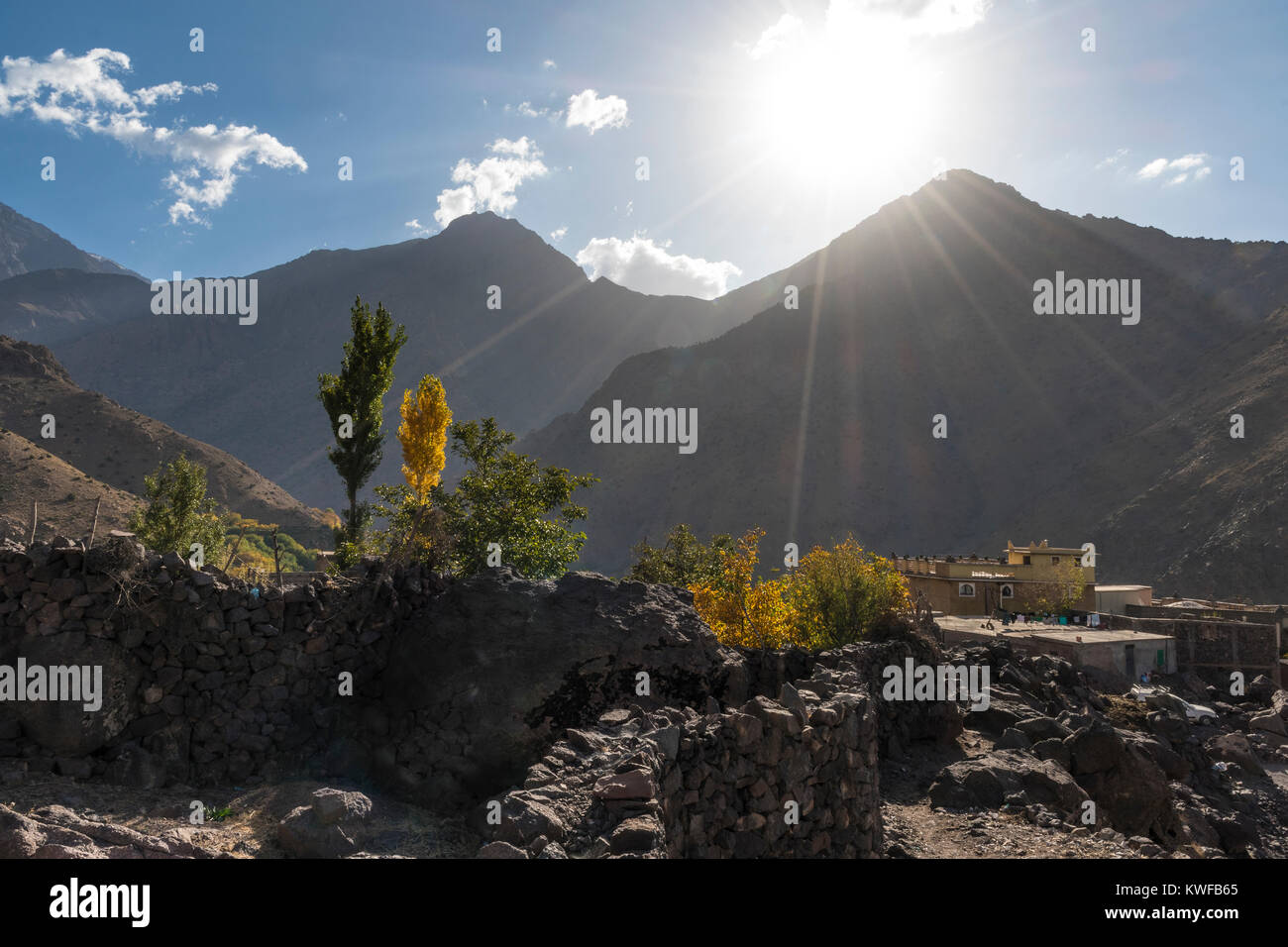 Anzeigen von Aremd, Imili Tal, mit herbstlich gefärbten Pappeln, marokkanische Hohen Atlas. Stockfoto